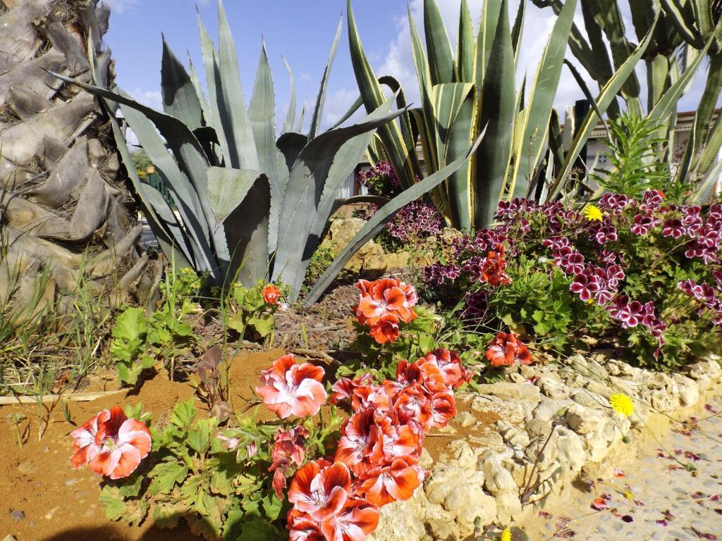 Agriturismo Arabesque Villa Balestrate Dış mekan fotoğraf